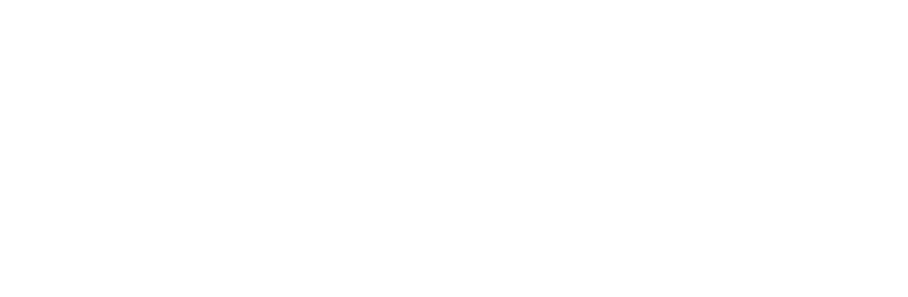 FRT Operadora